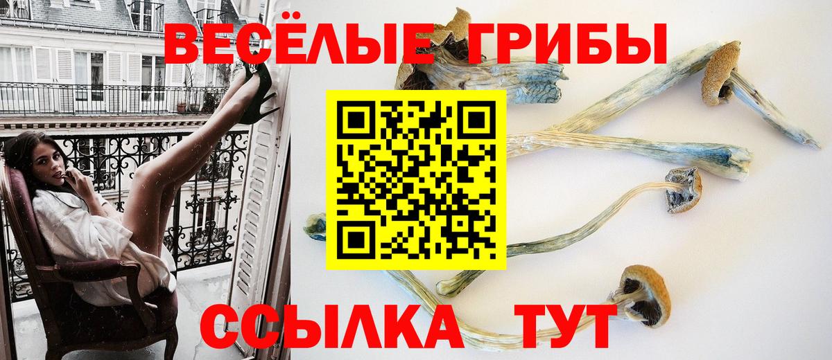 Псилоцибиновые грибы MAGIC MUSHROOMS Татарск